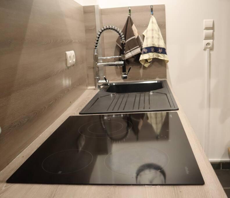 סדאן Maison Atypique, Centre-Ville 2+2 Pers Sauna Ir מראה חיצוני תמונה