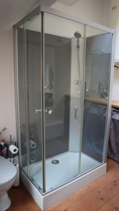 סדאן Maison Atypique, Centre-Ville 2+2 Pers Sauna Ir מראה חיצוני תמונה