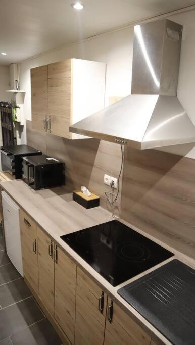 סדאן Maison Atypique, Centre-Ville 2+2 Pers Sauna Ir מראה חיצוני תמונה